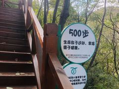 -大岭沟猕猴桃谷风景区