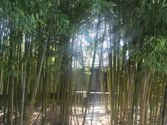 -万达广场(沈阳铁西店)