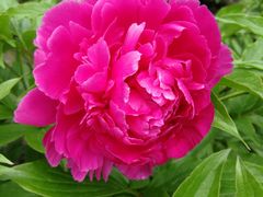 -长春公园(普阳街道)