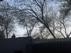 -嵩祝寺及智珠寺