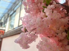 -村东第一家私房菜馆(古北水镇店)