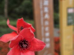 -招商局历史博物馆