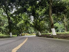 -张坝桂圆林公园
