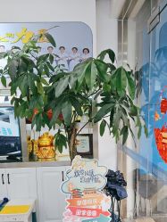 -蕾特恩专业祛痘·皮肤管理