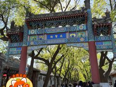 -北京国子监胡同