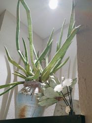 -香秀空间科技抗衰·美容中心