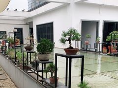-稍可轩博物馆餐厅