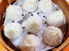 -莱莱小笼·乔艾