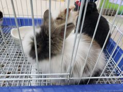 -乐宠宠物店(世纪金源店)