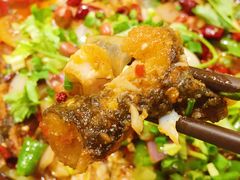 农家烤鱼-万重锦·人文川菜馆(骡马市店)