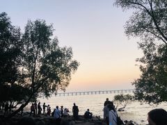 -宝安西湾红树林湿地公园