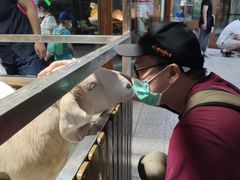 -上海大自然野生昆虫馆(东方明珠·爬宠昆虫探索中心)