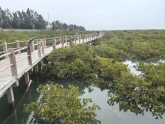 -北海金海湾红树林生态旅游区