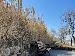 -上海山野camping·户外天幕烧烤·团建拓展营地