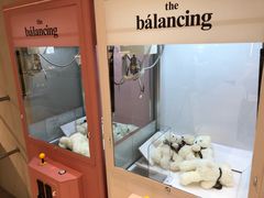 -the balancing(东方店)