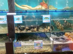 水产区-南海渔家•海鲜•正宗海南菜(海棠湾店)