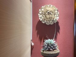 点击看大图 -栖木行空·女子定制美肤·芳香疗愈SPA