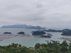 -花竹村