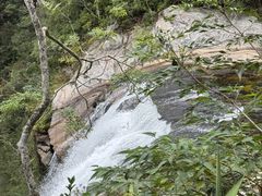 -海南热带雨林国家公园吊罗山景区