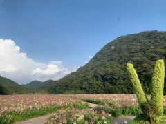 -广州市石门国家森林公园