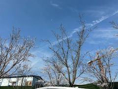 -幕燕滨江·长江观音景区
