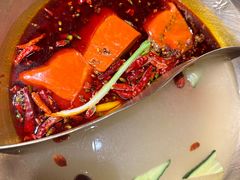 -小龙坎火锅(泉舜店)