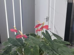 -常熟玉蕙口腔医院