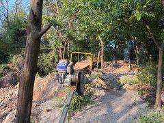 -长虫山生态公园风景林