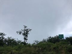 -牛背梁国家森林公园