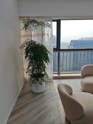 -HEYAN荷妍专业脱毛连锁机构