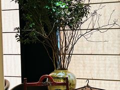 -海派悦庭·海胆烧麦·新融合菜(凯德广场店)