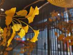 -京华烟云·北京烤鸭(领展购物广场·中关村店)