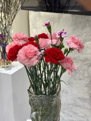 -王妃SPA·美容·科技抗衰