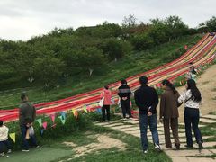 -秀丽东方