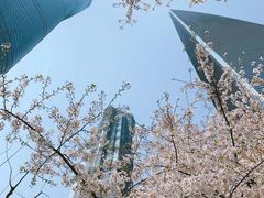 -ABC Cooking Studio(上海环球金融中心店)