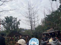 -青城甲(青城山店)