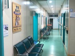 -北京观赏动物医院·24小时大型综合·猫专科·异宠专科