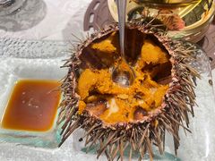 -海鲨湾海鲜会馆(百家湖1912店)