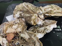 阳江炊蚝-大富蚝乌东哥饭店·石锅鱼杂·柠檬鸭(革新路店)