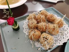 -椿不老