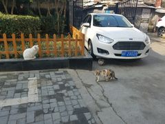 -巴黎贝甜(五月花广场店)