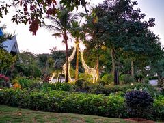 -惠州金海湾嘉华度假酒店