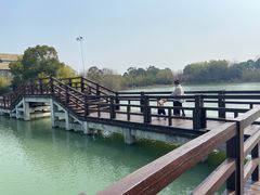 -苏州太湖国家湿地公园