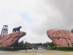 -黑瞎子岛探秘野熊园