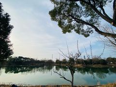 -梁鸿国家湿地公园