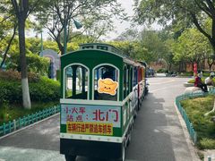 -张店儿童公园