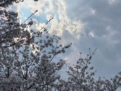-花博汇(知音花月夜)