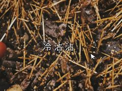 -谢智冷沾沾(马家巷总店)