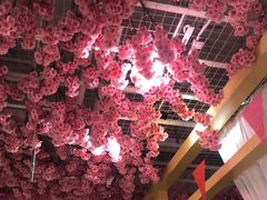 -椰贝原味椰子鸡(高新万达店)