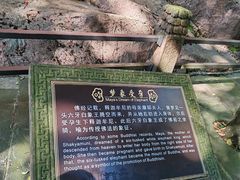 -峨眉山报国寺